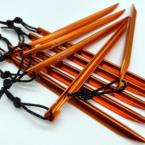 10 piquets de tente camping / bivouac en alliage d'aluminium léger "Hikevictor - 16 cm" - Planète Rando