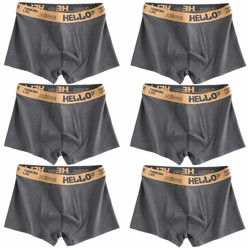 Boxer pour homme respirant et confortable 6 pièces "Hello On Me - JH5230SP" - Planète Rando