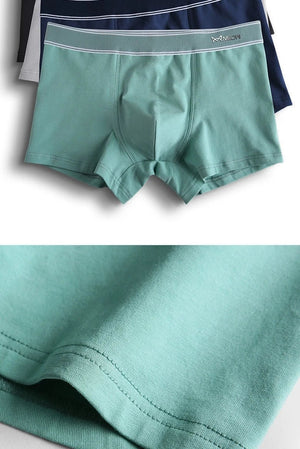 Lot de 3 boxer en coton pour homme, sous - vêtements respirants, boxers antibactériens au graphène "MiiOW - MW820 - 3P" - Planète Rando