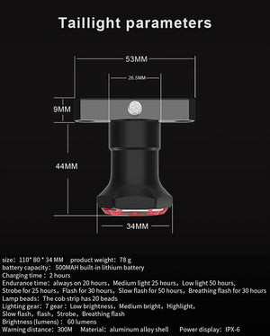 Éclairage arrière de vélo avec rechargement LED intelligent & capteur automatique IP65 "X-Tiger - WD-0201" - | Planète Rando