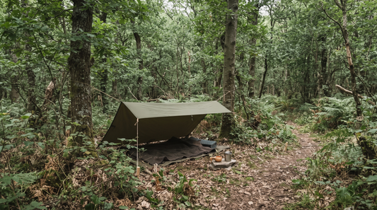 7 erreurs à éviter avant de pratiquer le bushcraft en été sereinement
