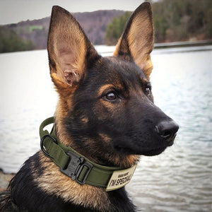 Colliers tactiques robustes pour chiens avec poignée "PETRAVEL - Tactical dog collar" - Planète Rando