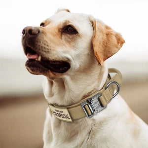 Colliers tactiques robustes pour chiens avec poignée "PETRAVEL - Tactical dog collar" - Planète Rando