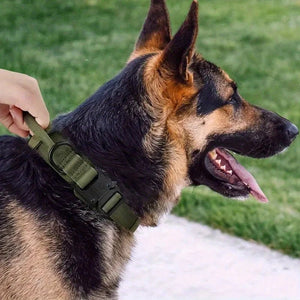 Colliers tactiques robustes pour chiens avec poignée "PETRAVEL - Tactical dog collar" - Planète Rando