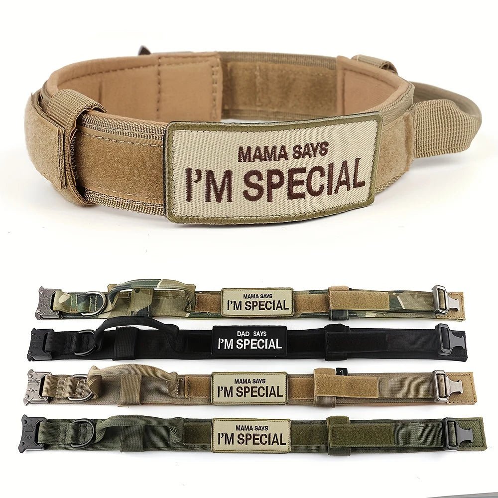 Colliers tactiques robustes pour chiens avec poignée "PETRAVEL - Tactical dog collar" - Planète Rando