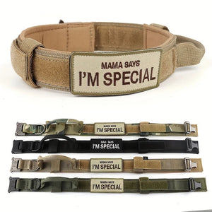 Colliers tactiques robustes pour chiens avec poignée "PETRAVEL - Tactical dog collar" - Planète Rando