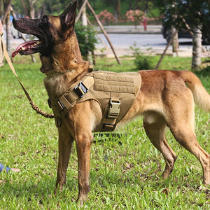 Harnais tactique / gilet d'entraînement pour chiens "PETRAVEL - Dog harness" - Planète Rando